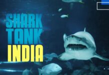 Shark Tank India Effect: What Happens to Startups After the Cameras Turn Off